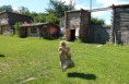 /album/deti-na-fort-hary/p1030233-jpg/